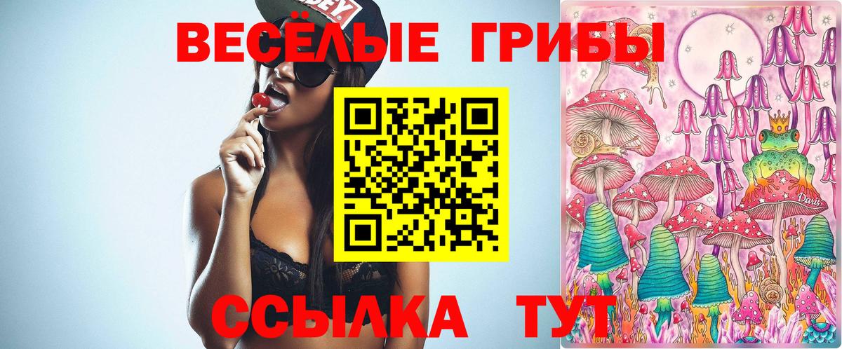 Галлюциногенные грибы мицелий Тара