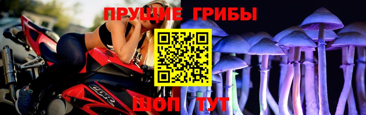 Тара  Псилоцибиновые грибы GOLDEN TEACHER  Псилоцибиновые грибы MAGIC MUSHROOMS  Вход с VPN 