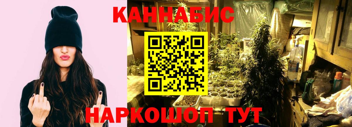 Шишки марихуана LSD WEED  Конопля семена  Тара  Канабис Ganja  Вход с VPN 